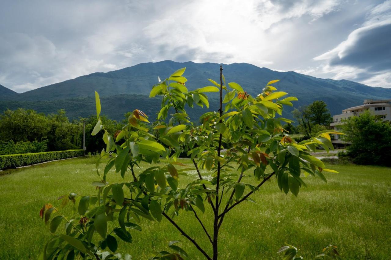 Seosko Domacinstvo Jovanovic Danilovgrad Luaran gambar