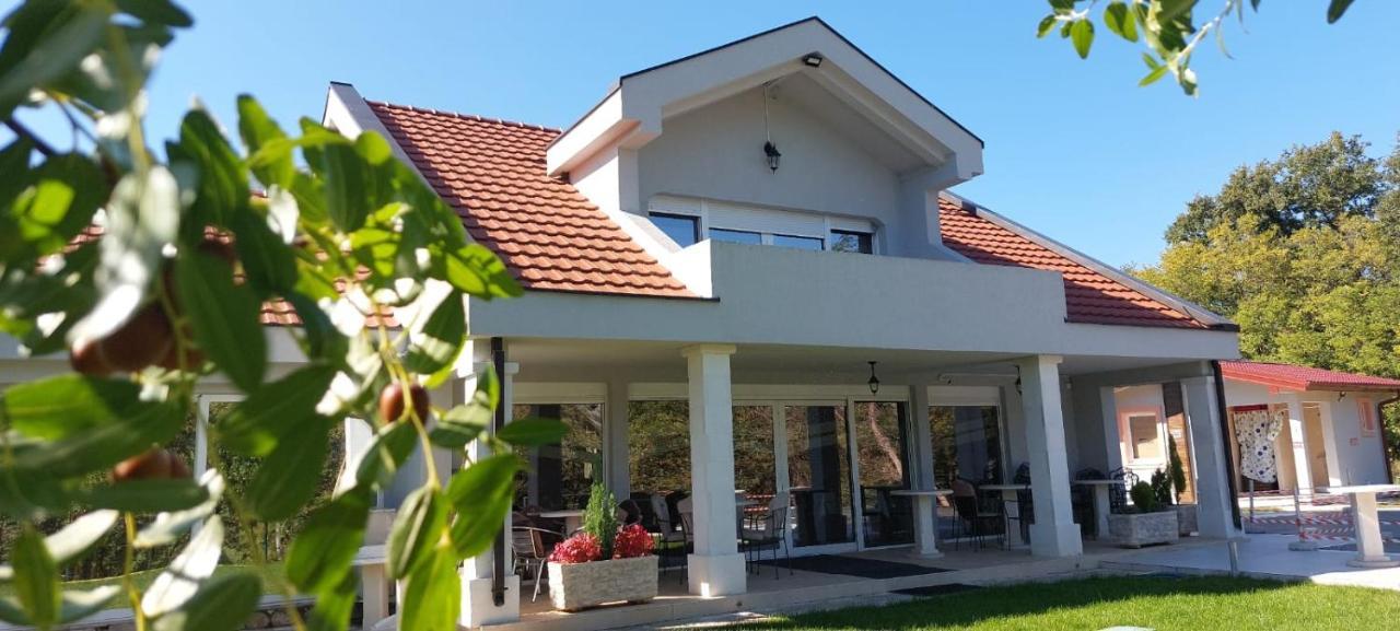 Seosko Domacinstvo Jovanovic Danilovgrad Luaran gambar